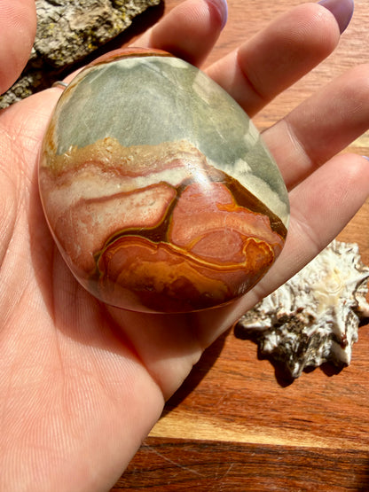 POLYCHROME JASPER PALM STONE
