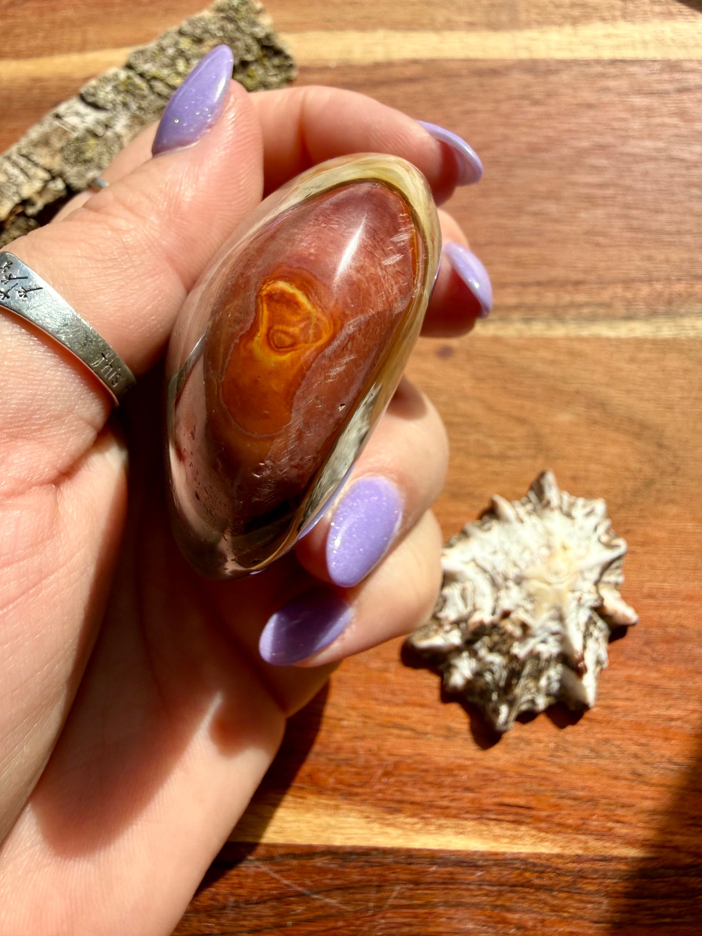 POLYCHROME JASPER PALM STONE
