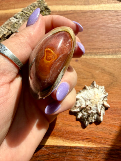 POLYCHROME JASPER PALM STONE