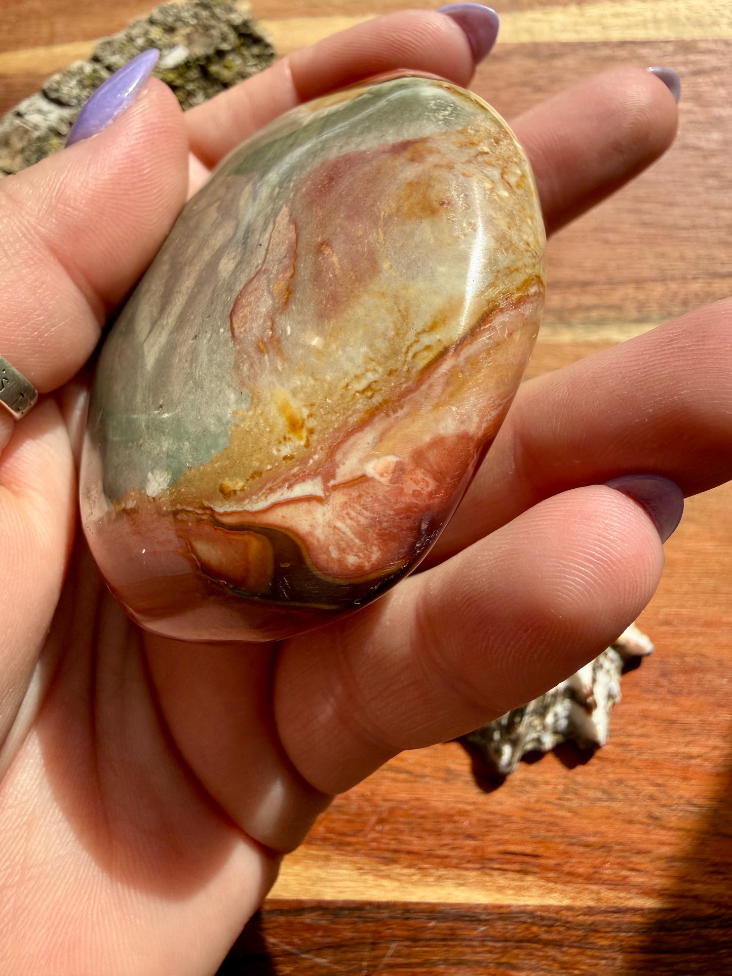 POLYCHROME JASPER PALM STONE