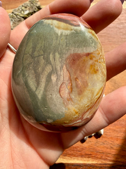 POLYCHROME JASPER PALM STONE