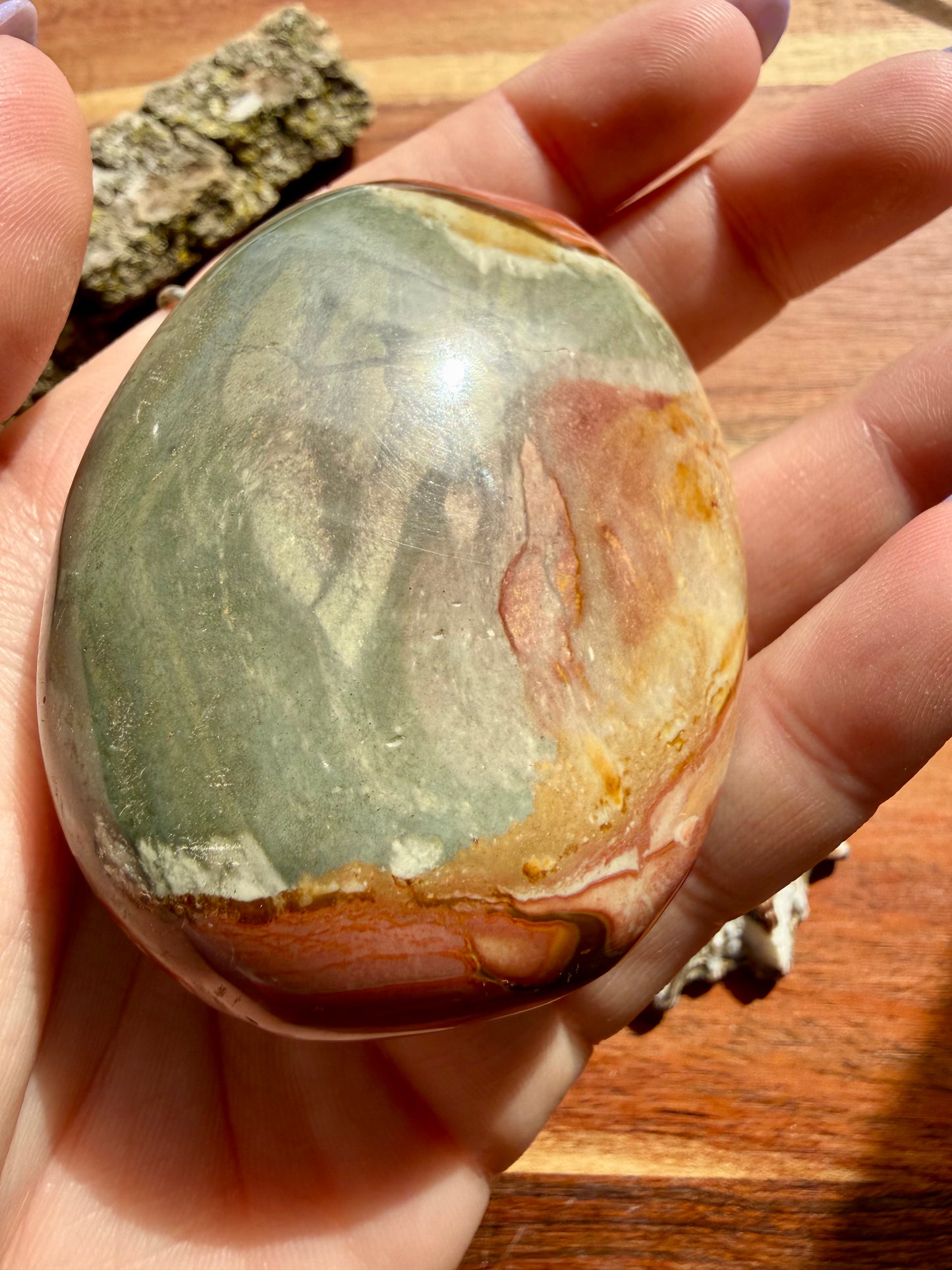 POLYCHROME JASPER PALM STONE