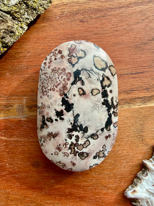 PICTURE JASPER PALM STONE