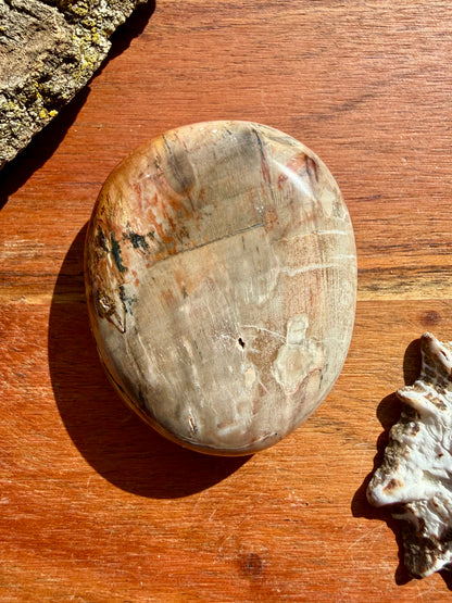 PETRIFIED WOOD PALM STONE