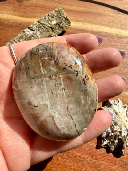 PETRIFIED WOOD PALM STONE