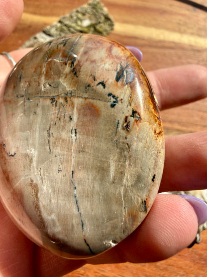PETRIFIED WOOD PALM STONE