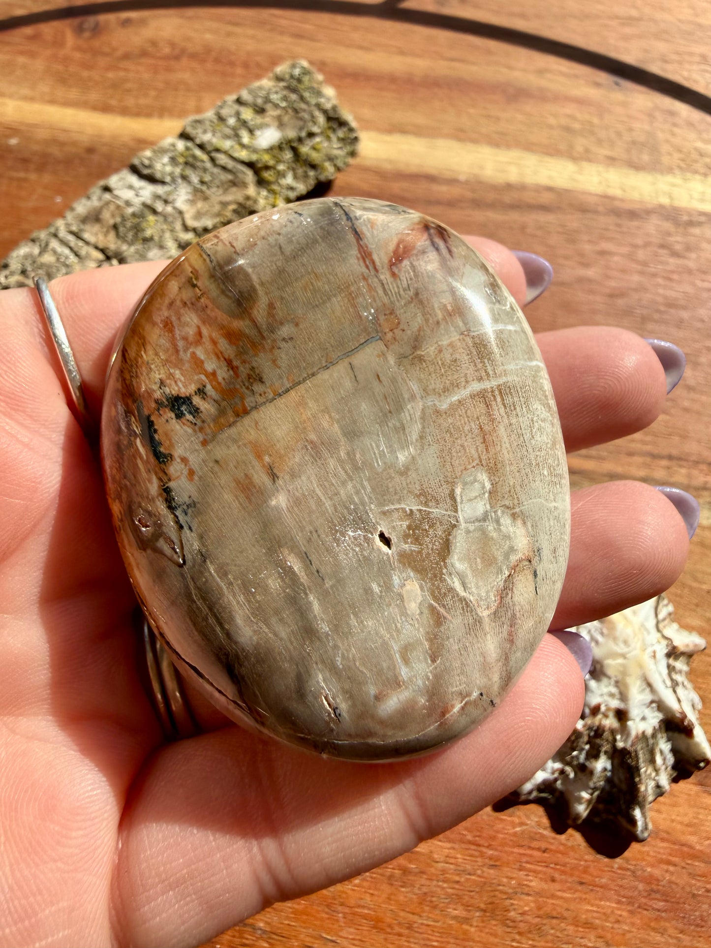 PETRIFIED WOOD PALM STONE
