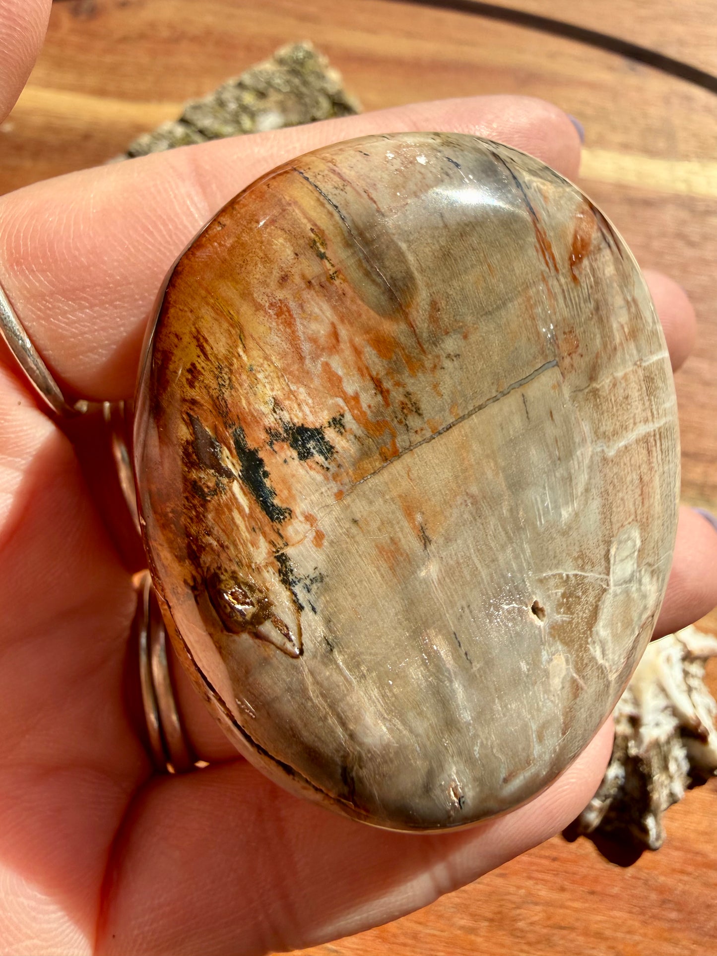 PETRIFIED WOOD PALM STONE