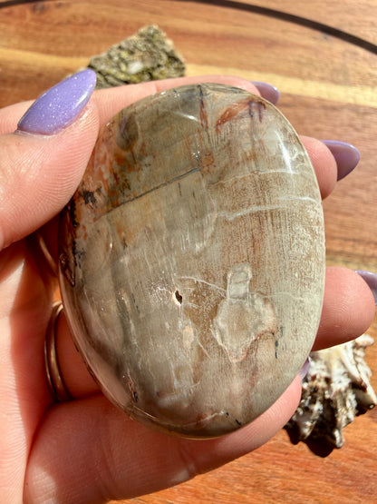 PETRIFIED WOOD PALM STONE