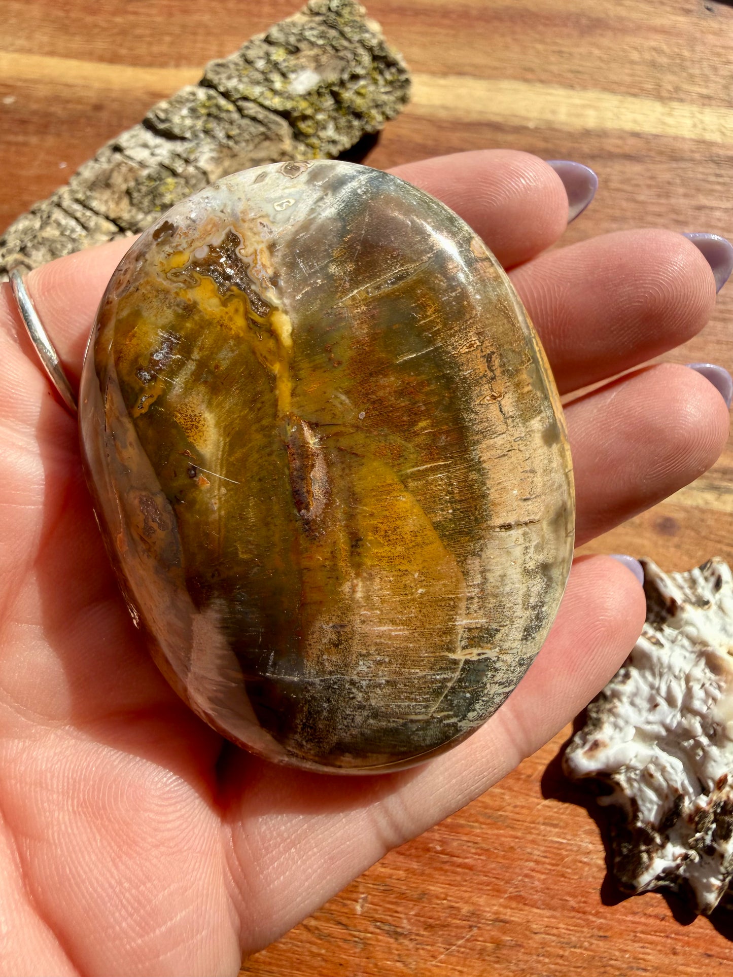 PETRIFIED WOOD PALM STONE