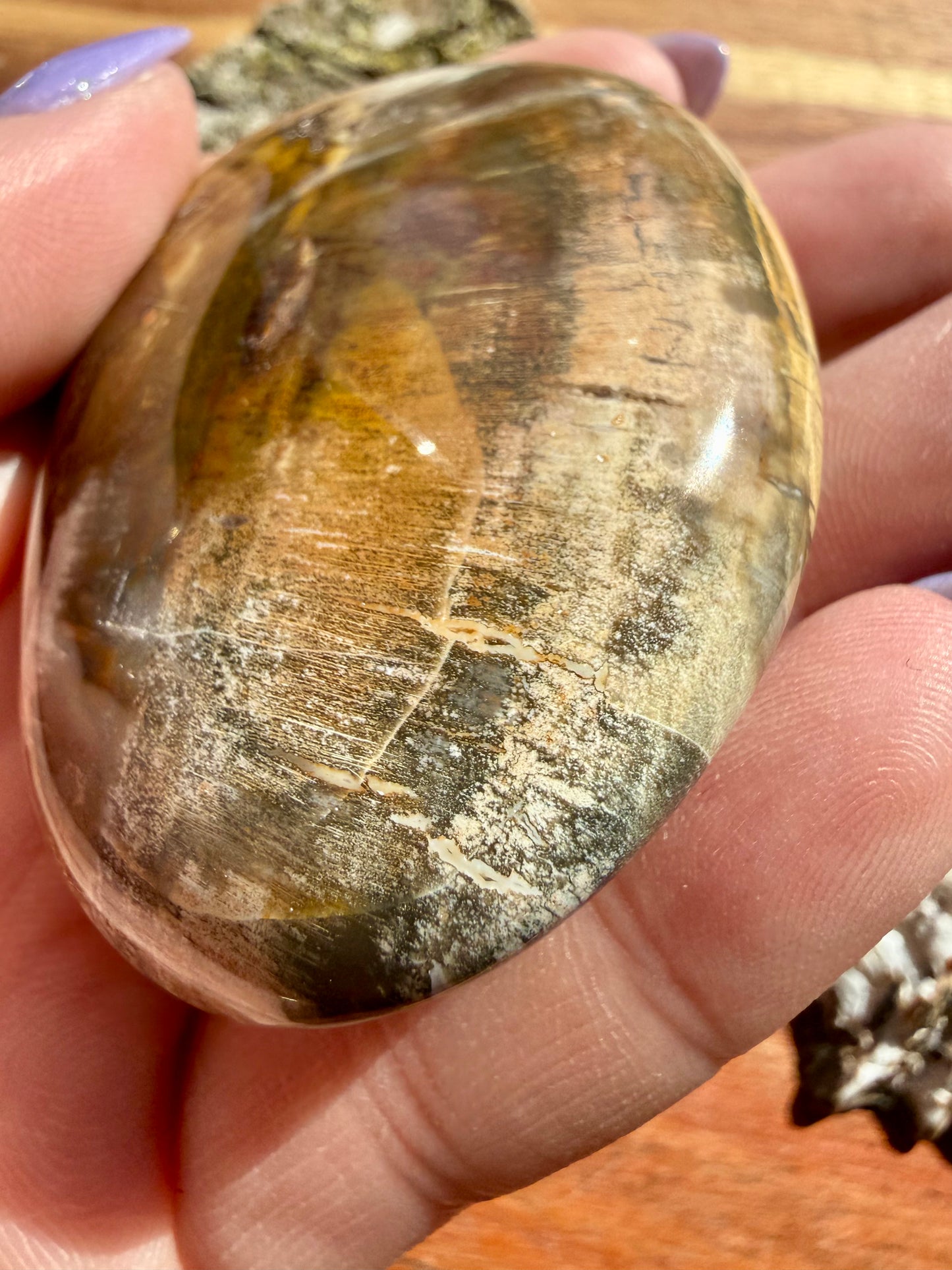 PETRIFIED WOOD PALM STONE