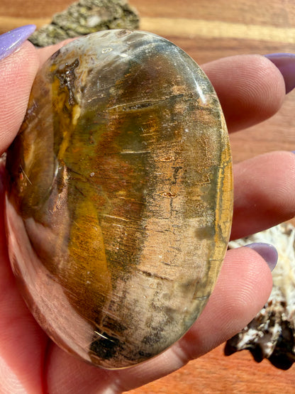 PETRIFIED WOOD PALM STONE