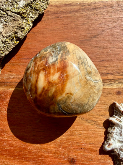 PETRIFIED WOOD PALM STONE