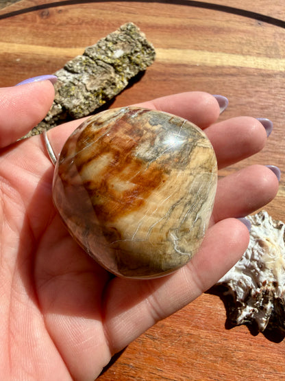 PETRIFIED WOOD PALM STONE