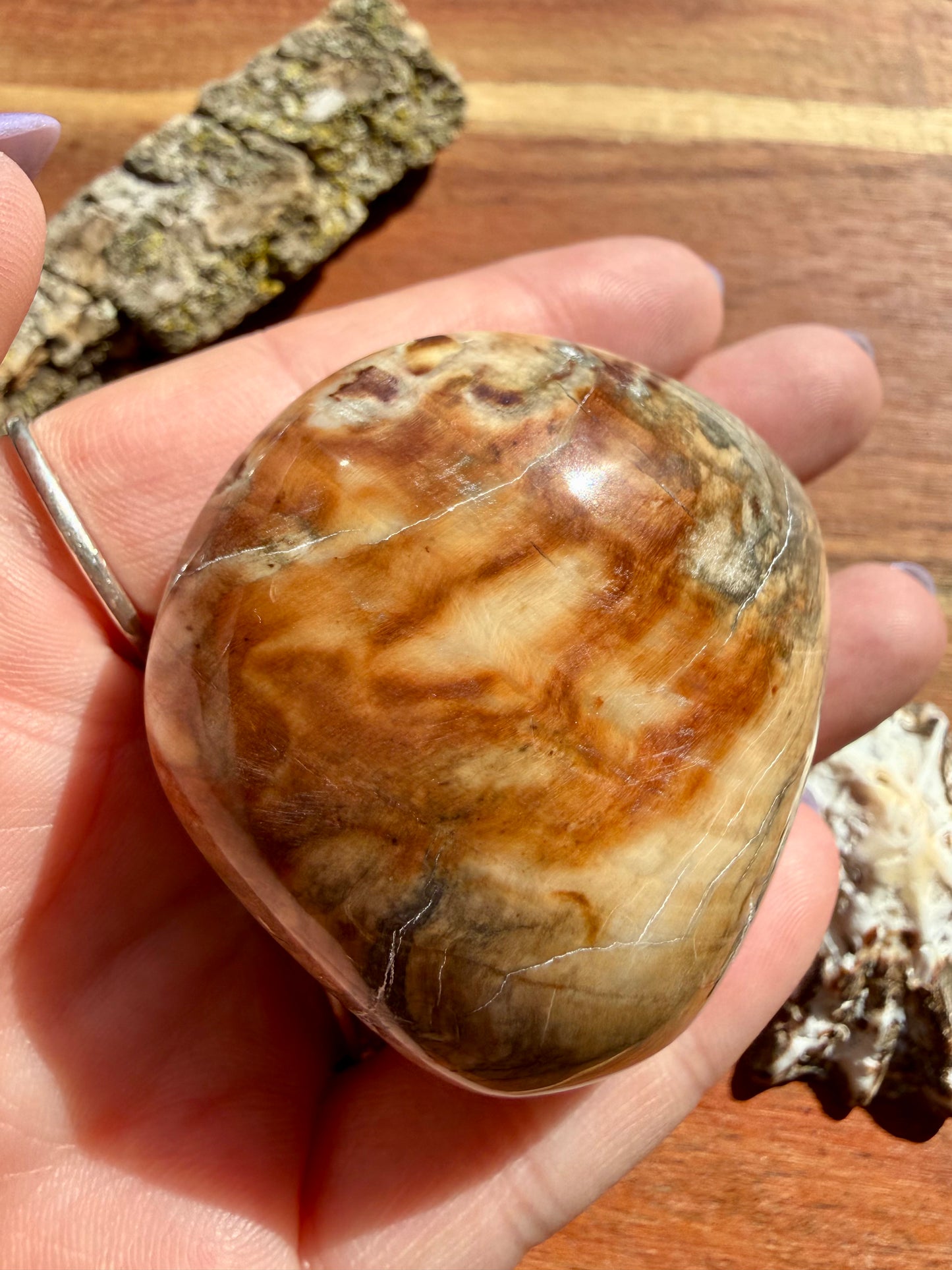 PETRIFIED WOOD PALM STONE