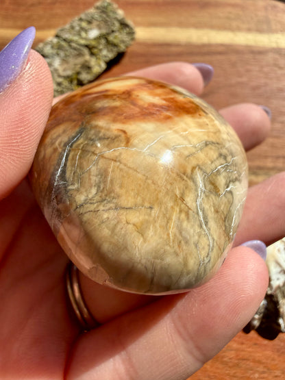 PETRIFIED WOOD PALM STONE