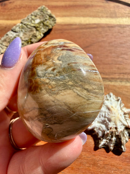 PETRIFIED WOOD PALM STONE