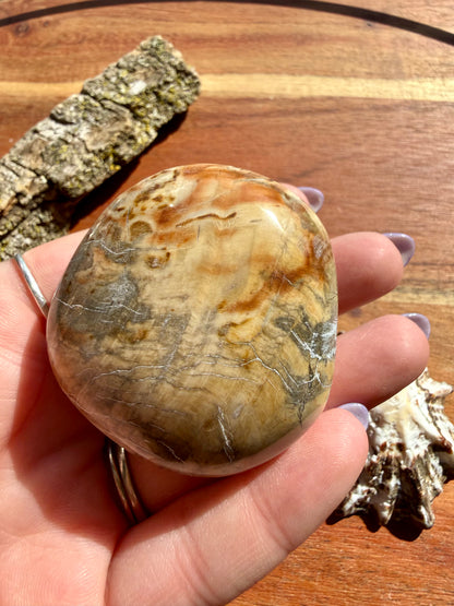 PETRIFIED WOOD PALM STONE