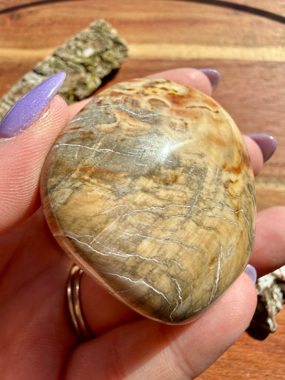 PETRIFIED WOOD PALM STONE