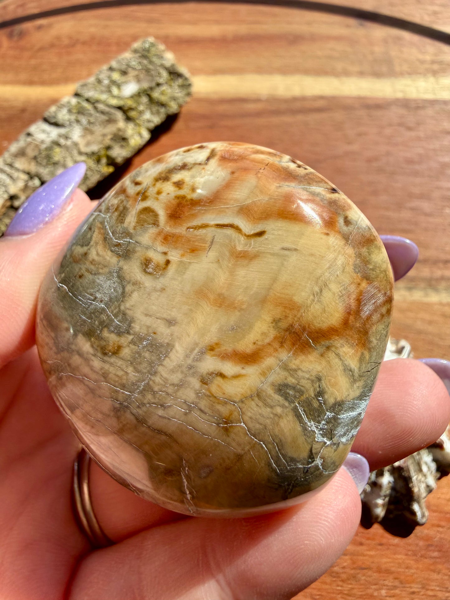 PETRIFIED WOOD PALM STONE