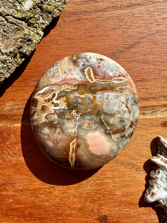 PETRIFIED WOOD PALM STONE