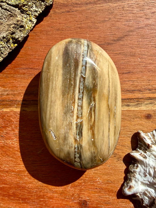 PETRIFIED WOOD PALM STONE