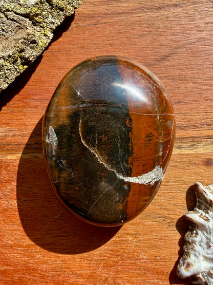 PETRIFIED WOOD PALM STONE