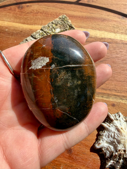 PETRIFIED WOOD PALM STONE
