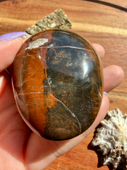PETRIFIED WOOD PALM STONE