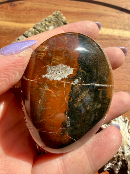 PETRIFIED WOOD PALM STONE