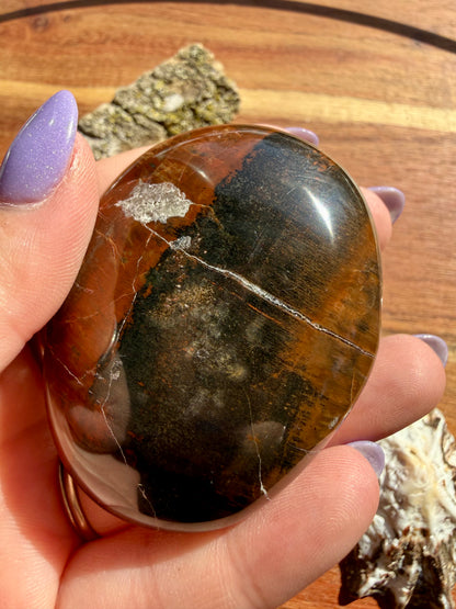 PETRIFIED WOOD PALM STONE