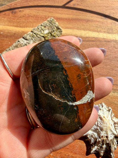 PETRIFIED WOOD PALM STONE