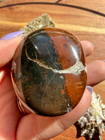 PETRIFIED WOOD PALM STONE