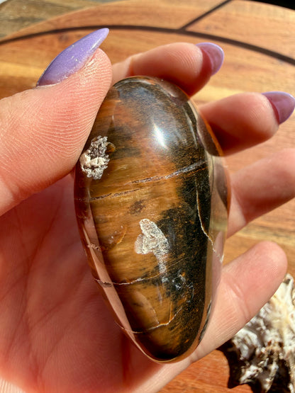 PETRIFIED WOOD PALM STONE
