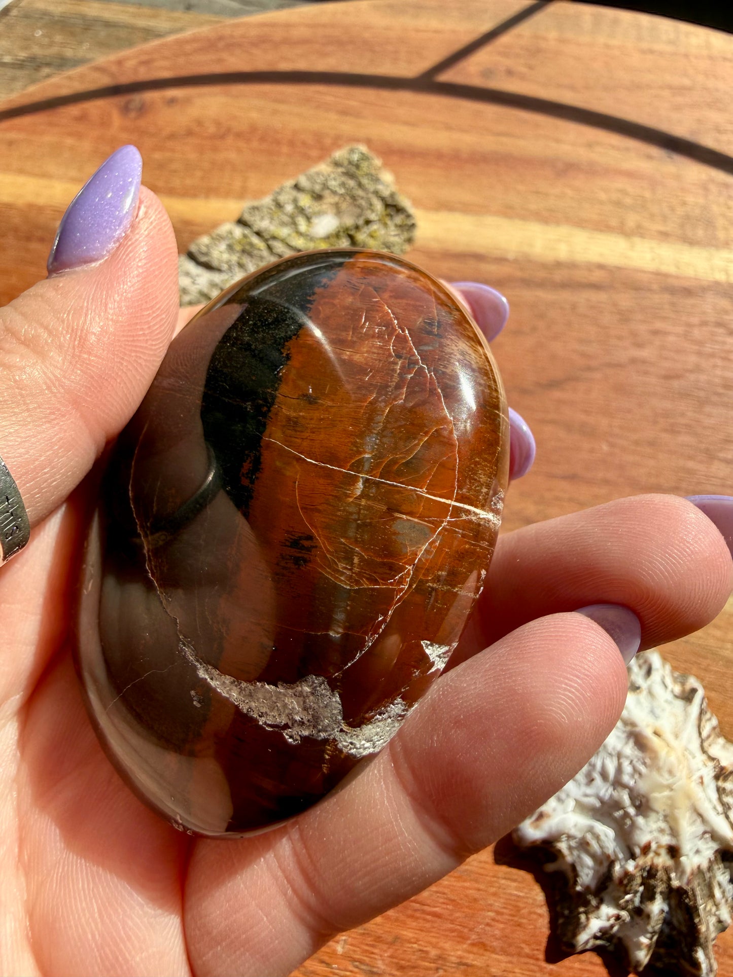 PETRIFIED WOOD PALM STONE