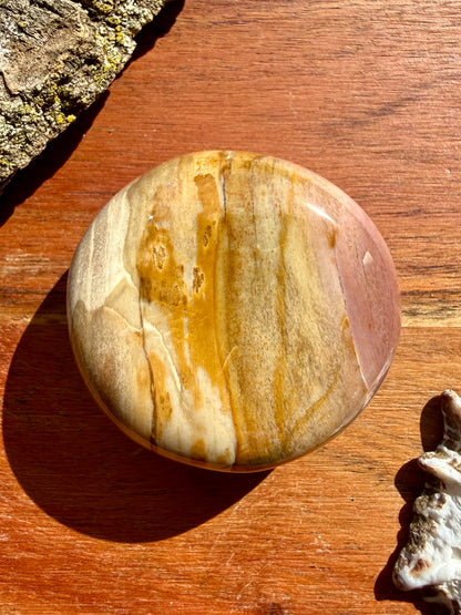 PETRIFIED WOOD PALM STONE