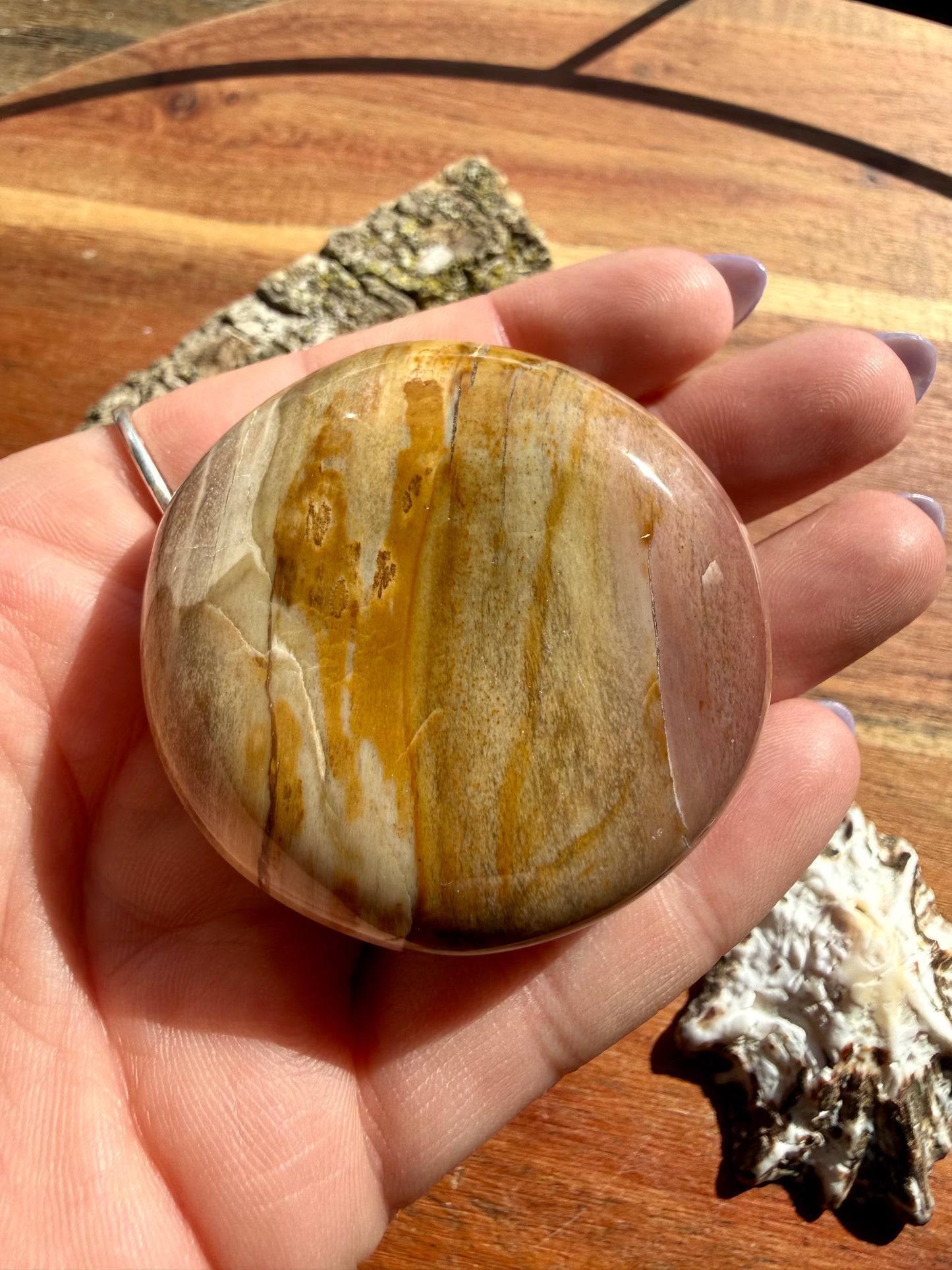PETRIFIED WOOD PALM STONE