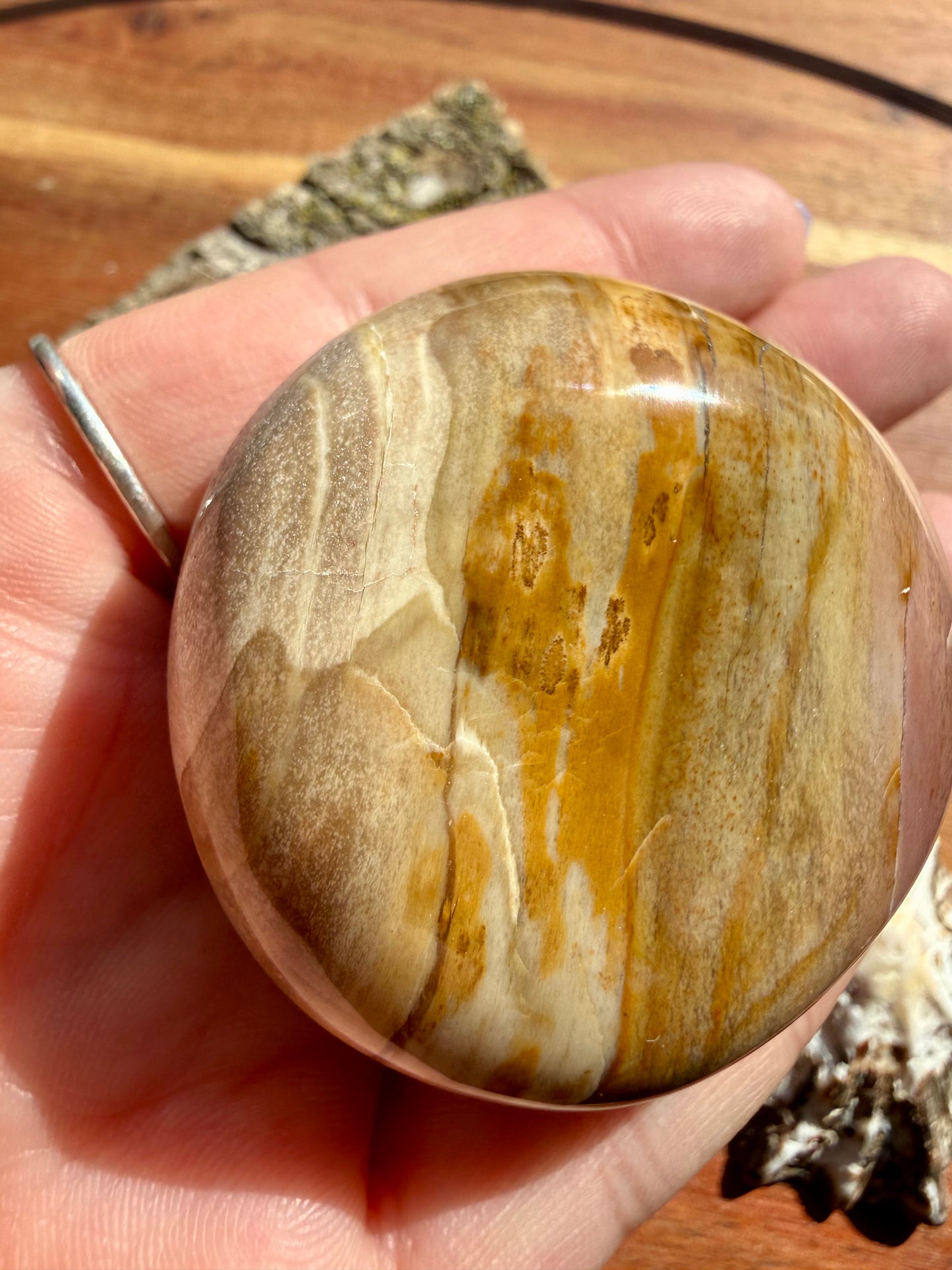 PETRIFIED WOOD PALM STONE