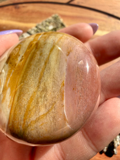 PETRIFIED WOOD PALM STONE