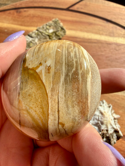 PETRIFIED WOOD PALM STONE
