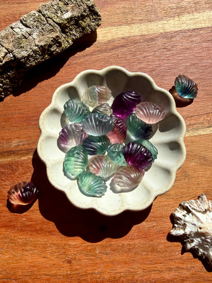 INTUITIVELY CHOSEN RAINBOW FLUORITE MINI SHELL WITH STARFISH [QTY. 1]