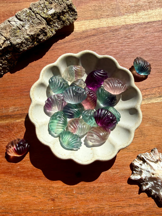 INTUITIVELY CHOSEN RAINBOW FLUORITE MINI SHELL WITH STARFISH [QTY. 1]