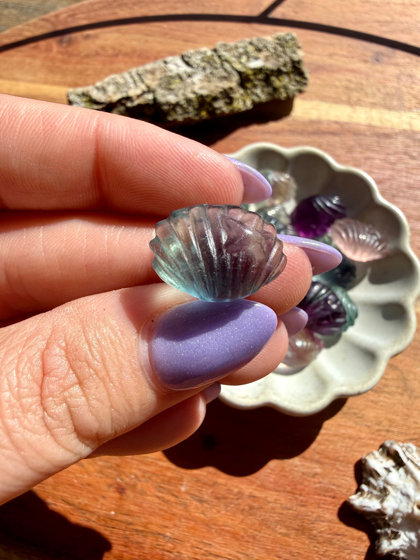 INTUITIVELY CHOSEN RAINBOW FLUORITE MINI SHELL WITH STARFISH [QTY. 1]