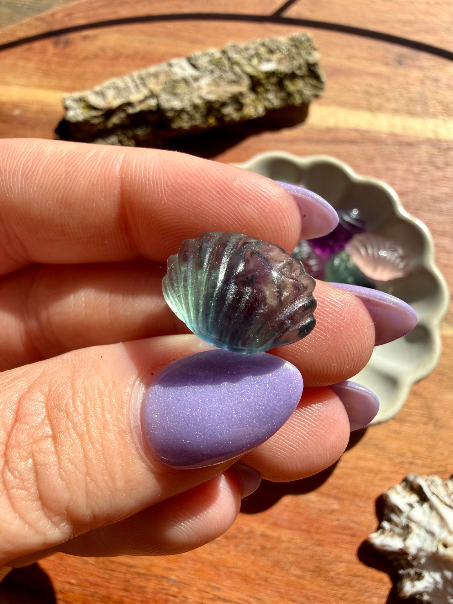 INTUITIVELY CHOSEN RAINBOW FLUORITE MINI SHELL WITH STARFISH [QTY. 1]