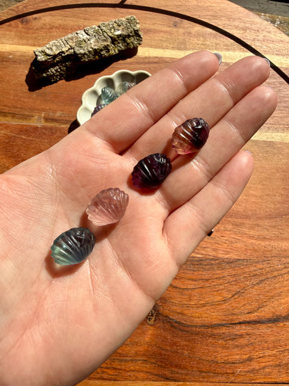 INTUITIVELY CHOSEN RAINBOW FLUORITE MINI SHELL WITH STARFISH [QTY. 1]