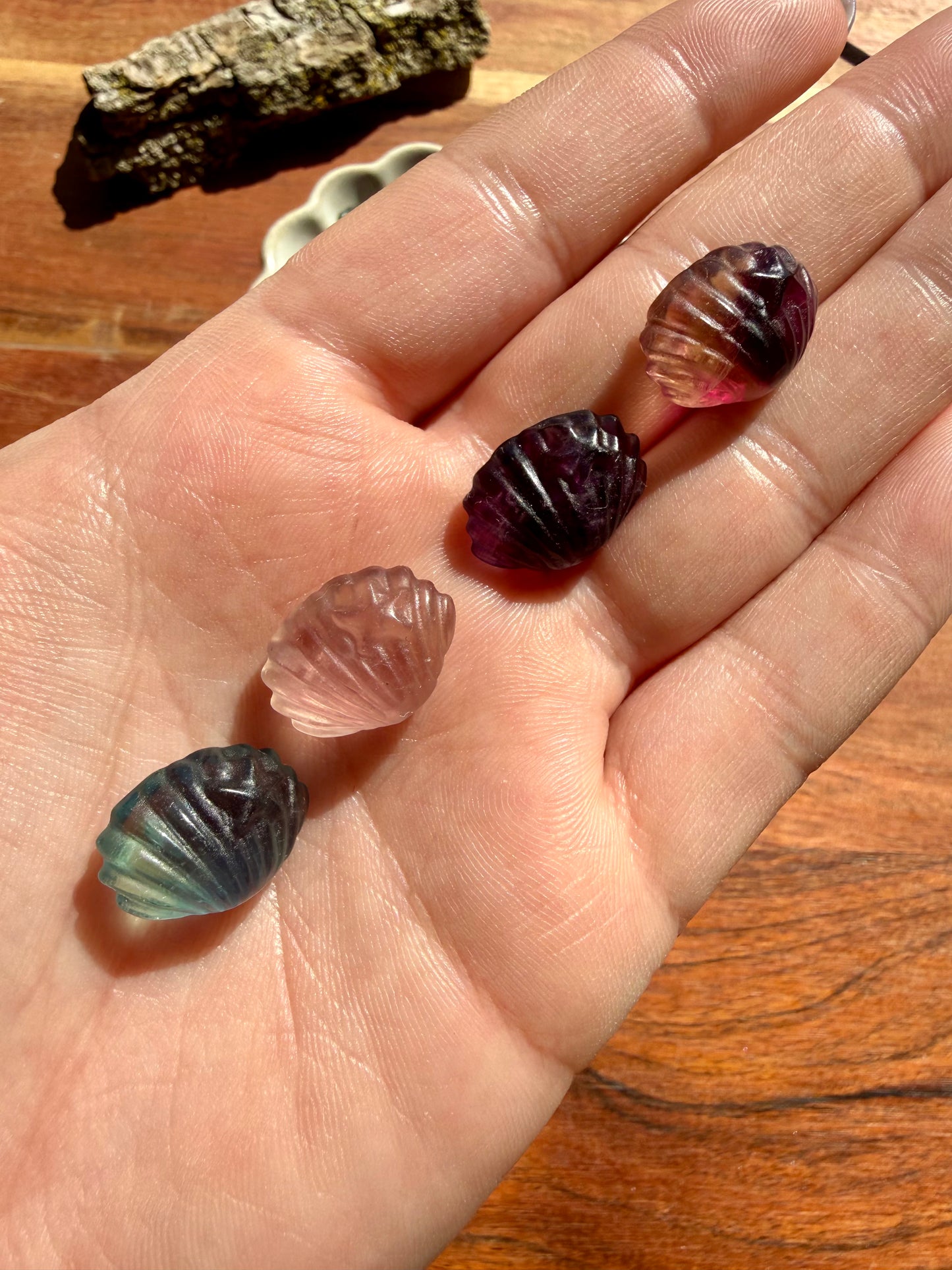 INTUITIVELY CHOSEN RAINBOW FLUORITE MINI SHELL WITH STARFISH [QTY. 1]