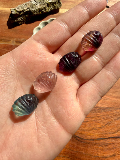 INTUITIVELY CHOSEN RAINBOW FLUORITE MINI SHELL WITH STARFISH [QTY. 1]