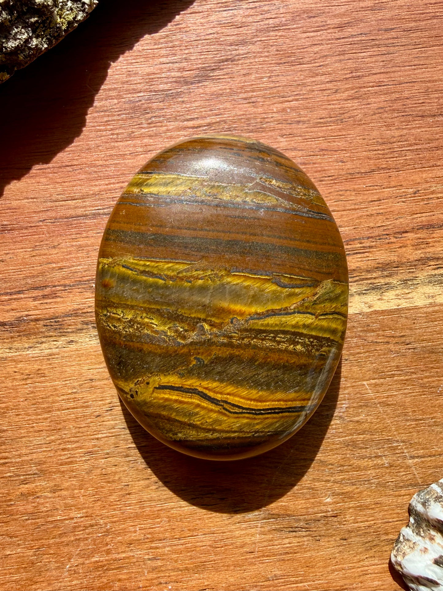TIGER IRON PALM STONE
