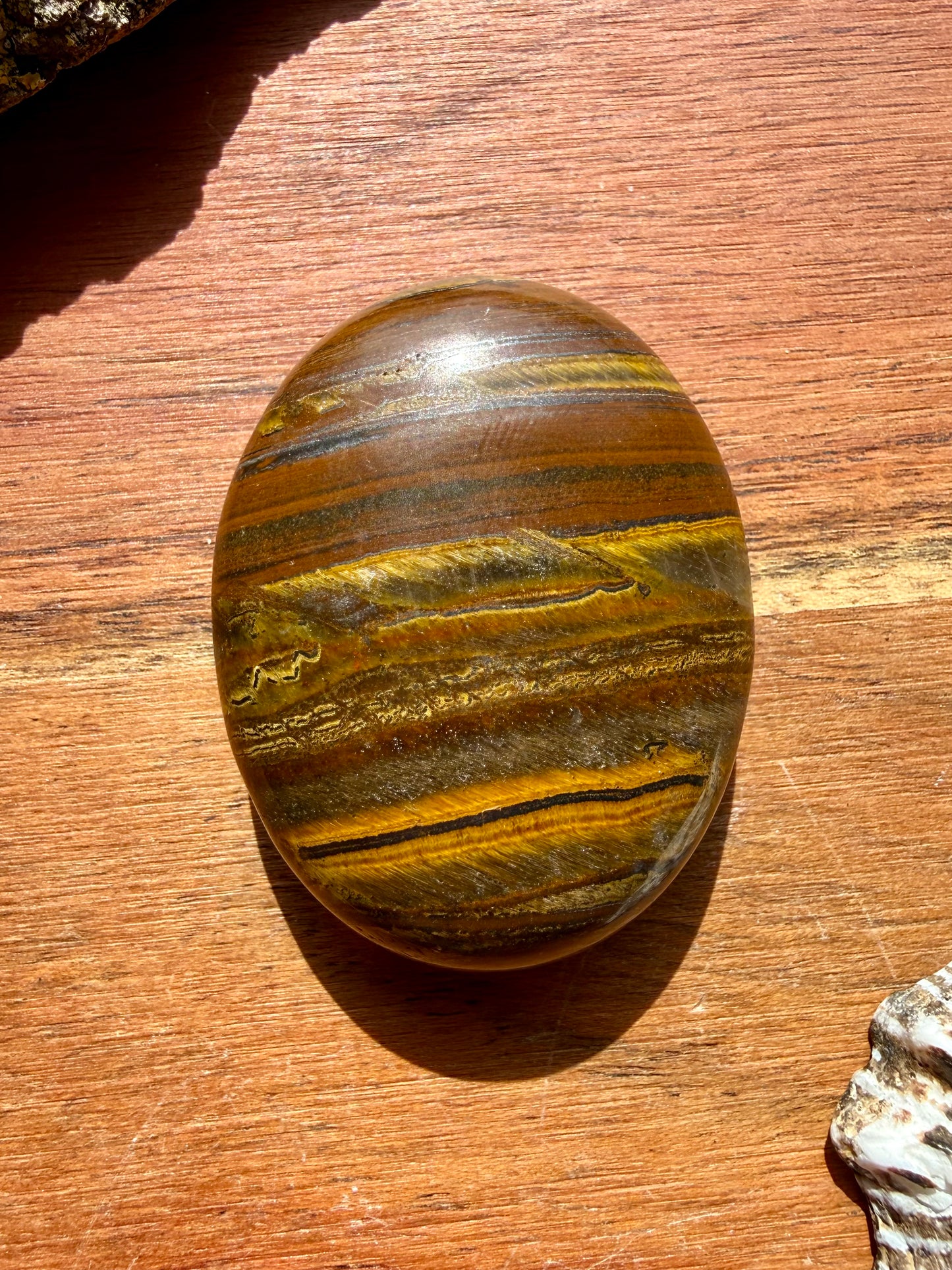 TIGER IRON PALM STONE