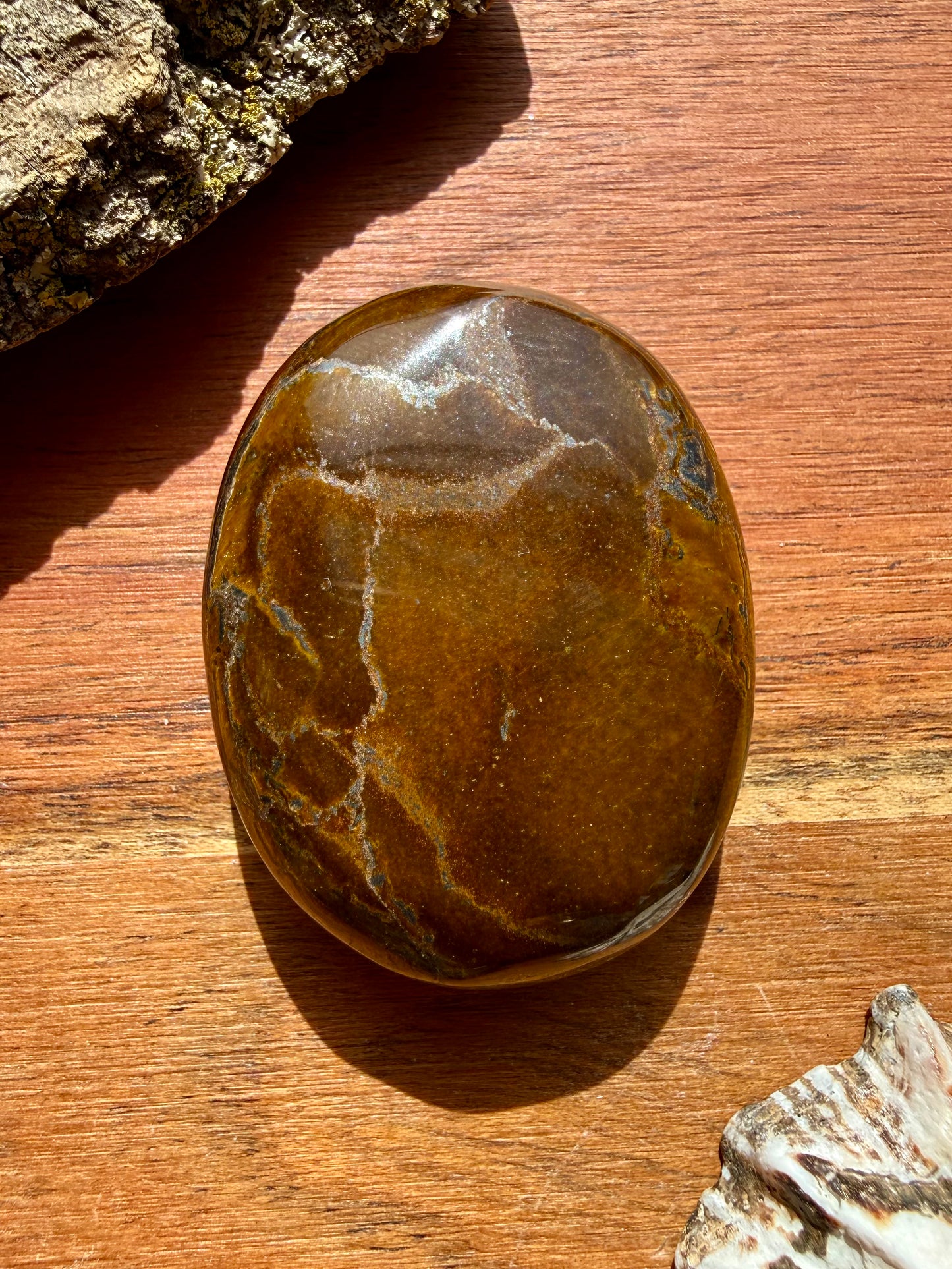 TIGER IRON PALM STONE